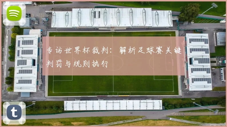 专访世界杯裁判：解析足球赛关键判罚与规则执行