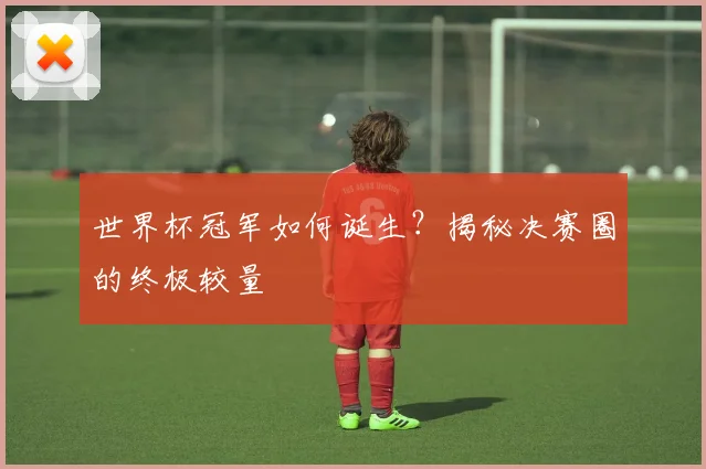 世界杯冠军如何诞生?揭秘决赛圈的终极较量