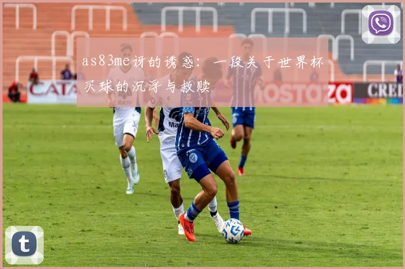 as83me讶的诱惑：一段关于世界杯买球的沉浮与救赎