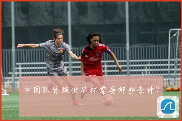 中国队晋级世界杯需要哪些条件？