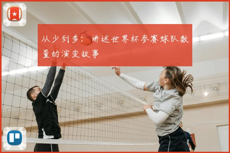 从少到多：讲述世界杯参赛球队数量的演变故事