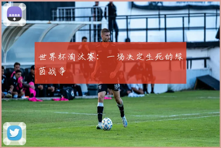 世界杯淘汰赛:一场决定生死的绿茵战争