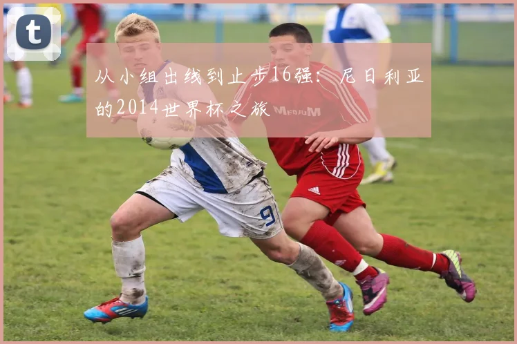从小组出线到止步16强：尼日利亚的2014世界杯之旅