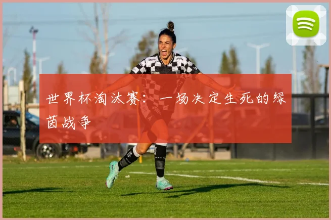 世界杯淘汰赛：一场决定生死的绿茵战争