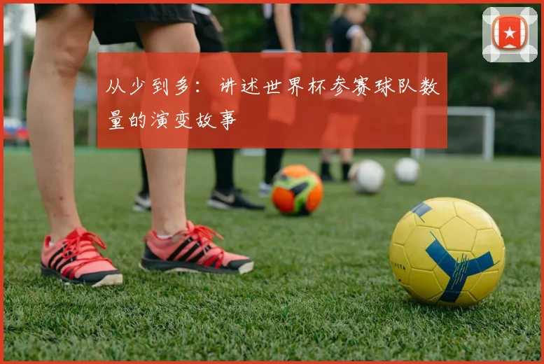 从少到多:讲述世界杯参赛球队数量的演变故事