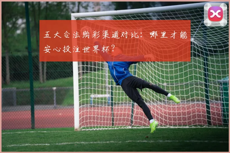 五大合法购彩渠道对比：哪里才能安心投注世界杯？