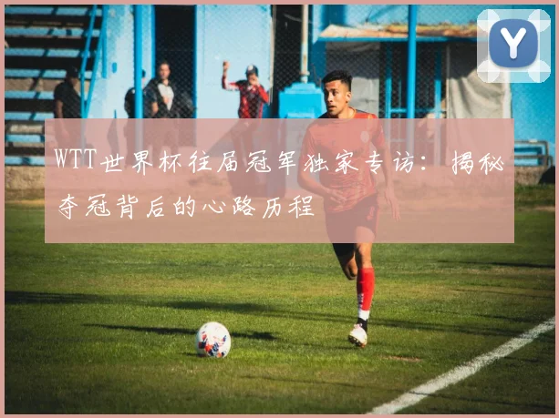 WTT世界杯往届冠军独家专访:揭秘夺冠背后的心路历程
